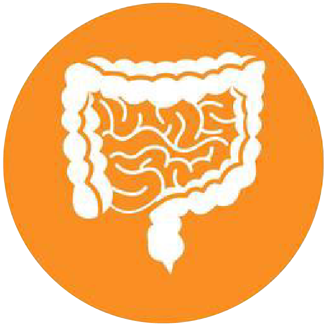 關(guān)注職場“腸”態(tài)，守護員工健康——上海格瑞特特邀消化內(nèi)科專家公益系列講座（4）(圖4)